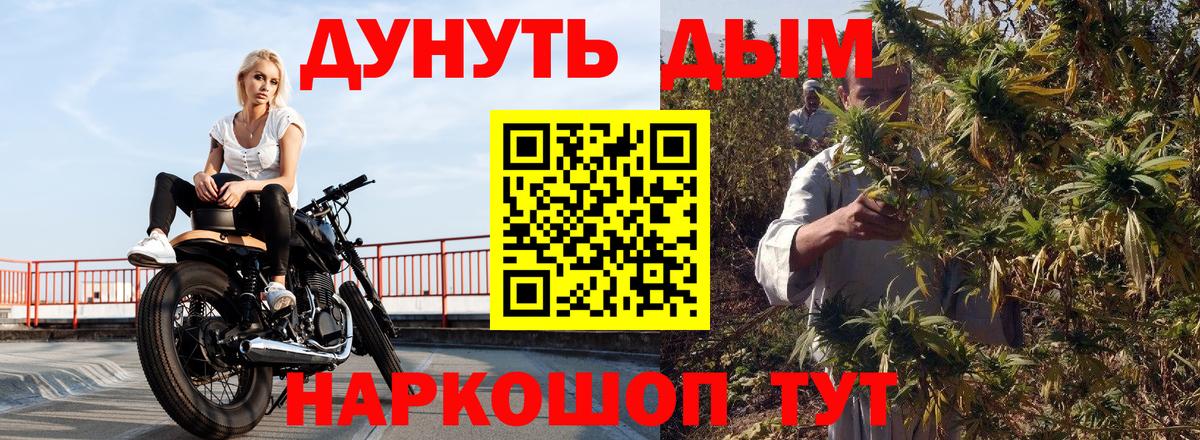 Бошки марихуана сатива Санкт-Петербург